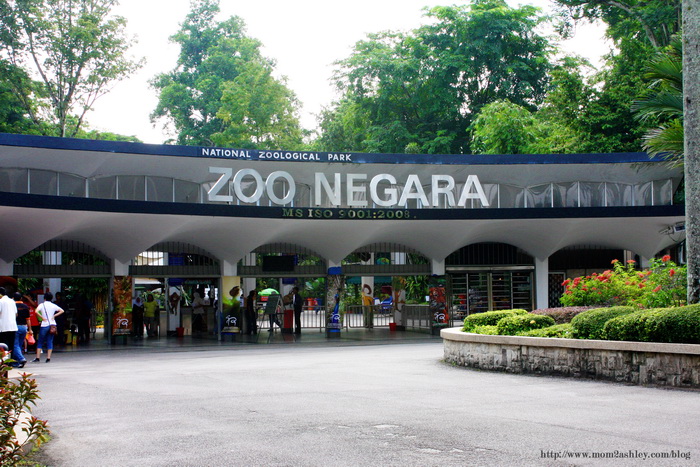 Zoo Negara Zoo Negara
